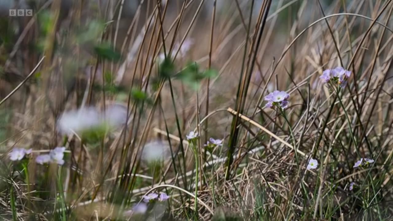 The Moors Murders- A Search for Justice - Series 1- Episode 2 BBC Documentary 2025