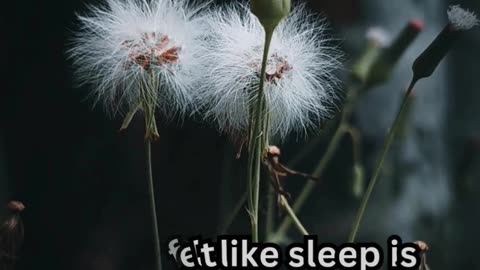 Indian Subcontinent Sleep Issues#ElderCare 🧓 #SleepTips 😴 #CalmNights 🌙 #RestEasy 🛏️ #GoldenYears 🌟