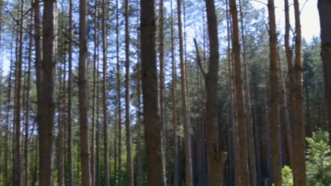 Daily Horoscope | Taurus 🌟