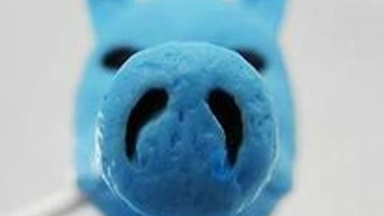 Breath The Feeds Back (How Special You Are ! )