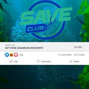 🐠💦 Get HUGE Aquarium Discounts!