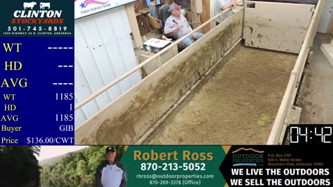 5/10/2025 - Cattle Auction - Clinton Stockyards