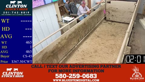5/10/2025 - Cattle Auction - Clinton Stockyards