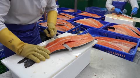 Taiwanese Salmon Processing Factory Creamy Garlic Salmon Making - Salmon Cutting Skill
