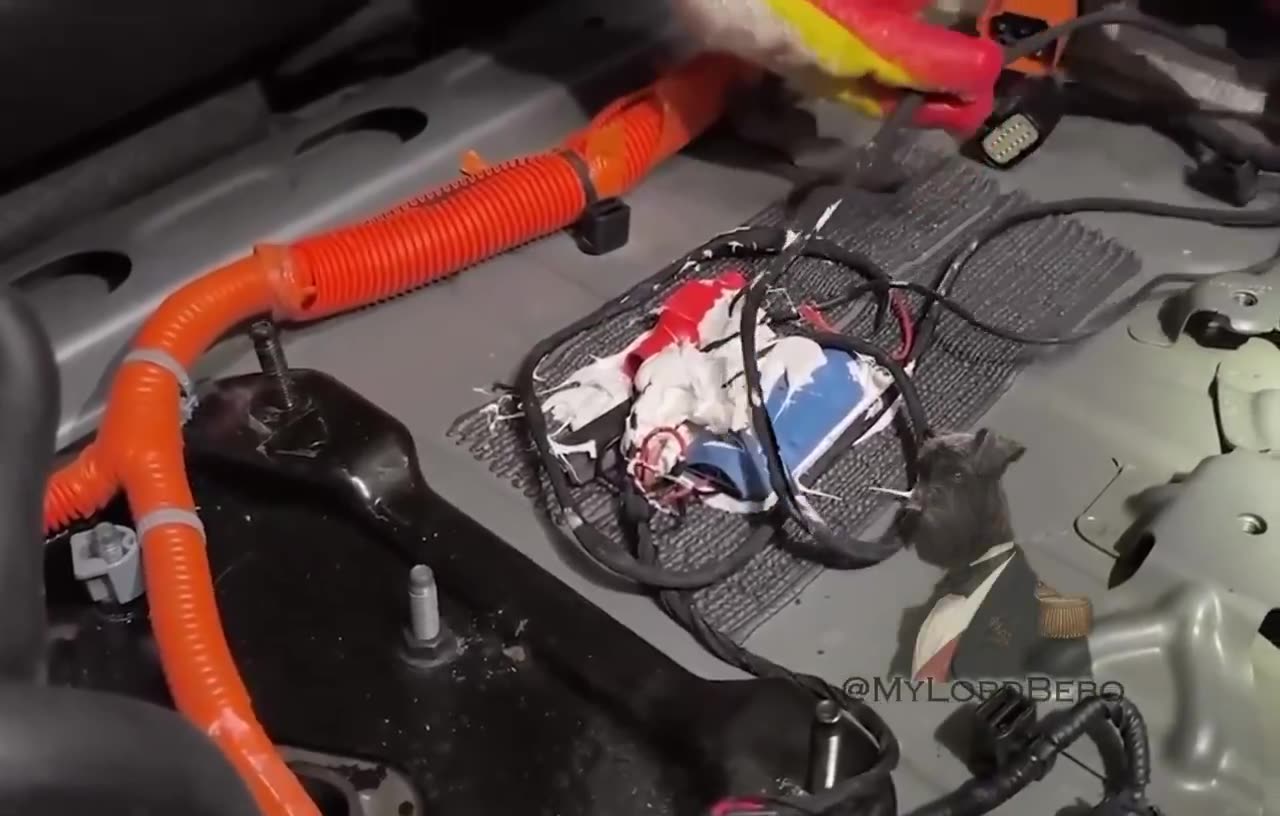 Ukraine tries to blow up the Crimea bridge before the Trump summit!