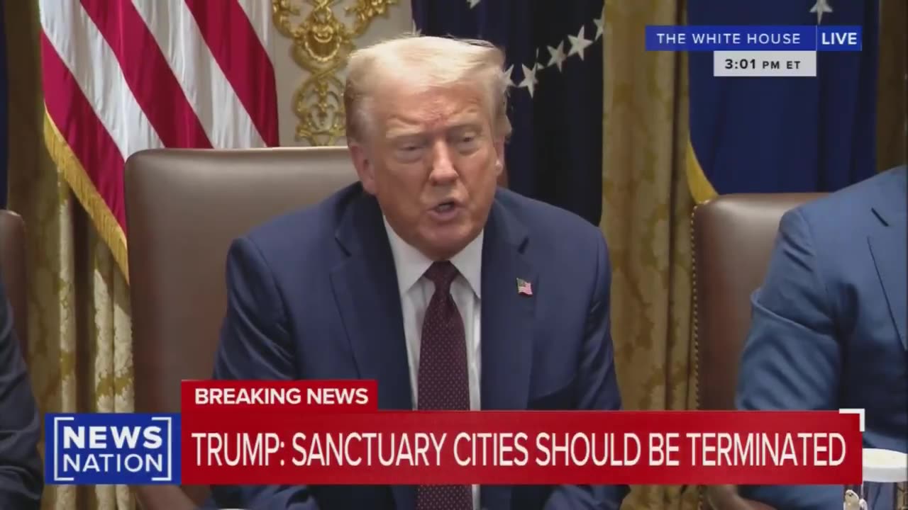 Trump torches a reporter during Cabinet smeeting