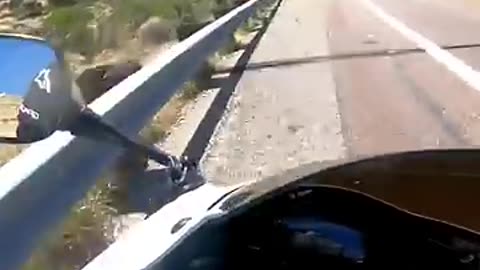 My friend crashed… #shorts #crash #motorcycle #bikelife