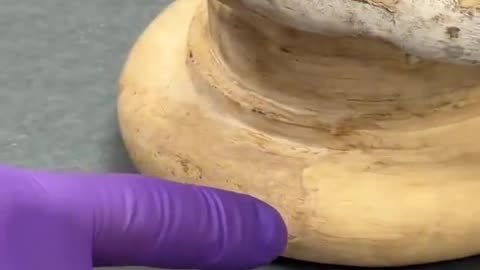 This is the plaster death mask of Isaac Newton