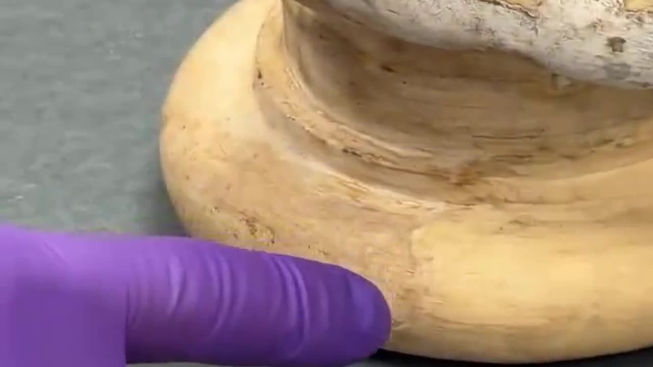 This is the plaster death mask of Isaac Newton