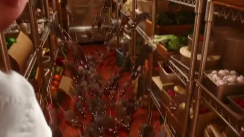 Ratatouille 2007 Full Movie