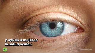 🍅 Este alimento es un aliado estratégico contra enfermedades crónicas