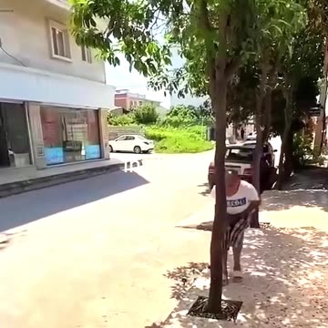 Funny Moments #funny #moments