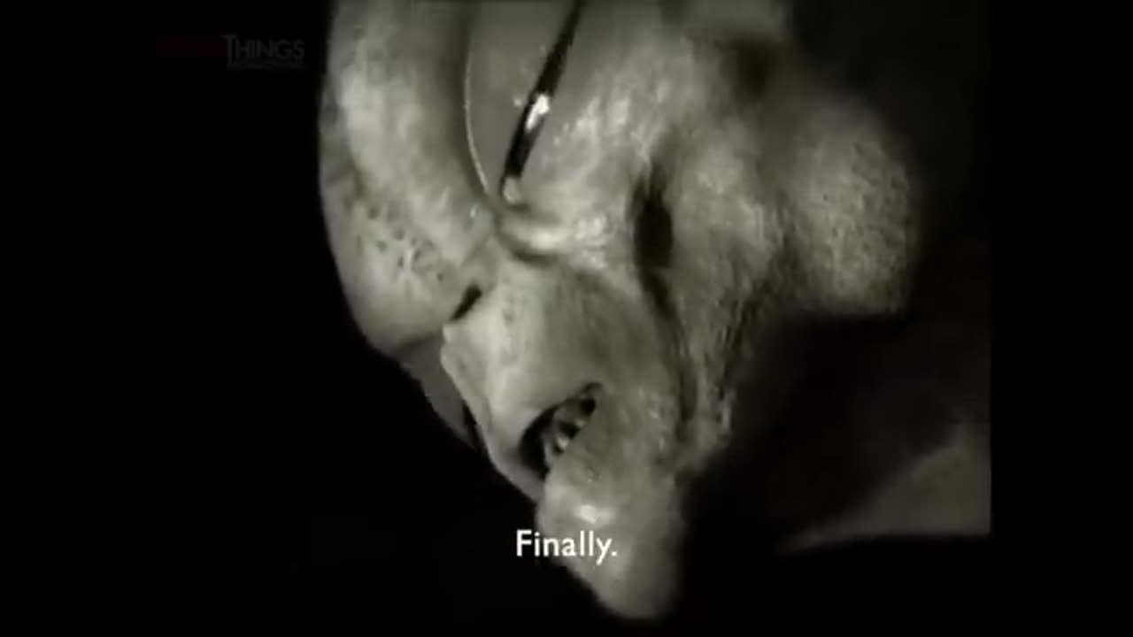 ALIEN INTERVIEW PART 4