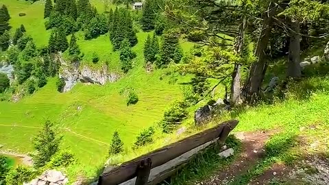 The nature is beautiful