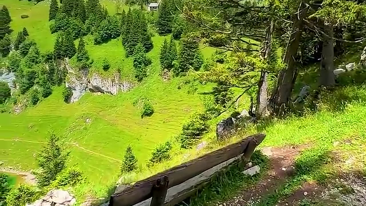 The nature is beautiful