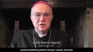 Carlo Maria Viganò Archbishop - Italy A dangerous subversive elite