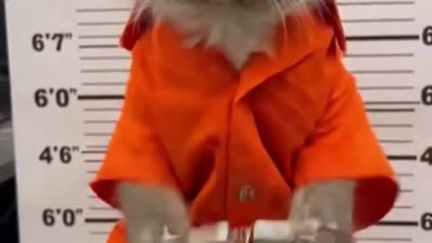 follow @drew_ponder for more slop