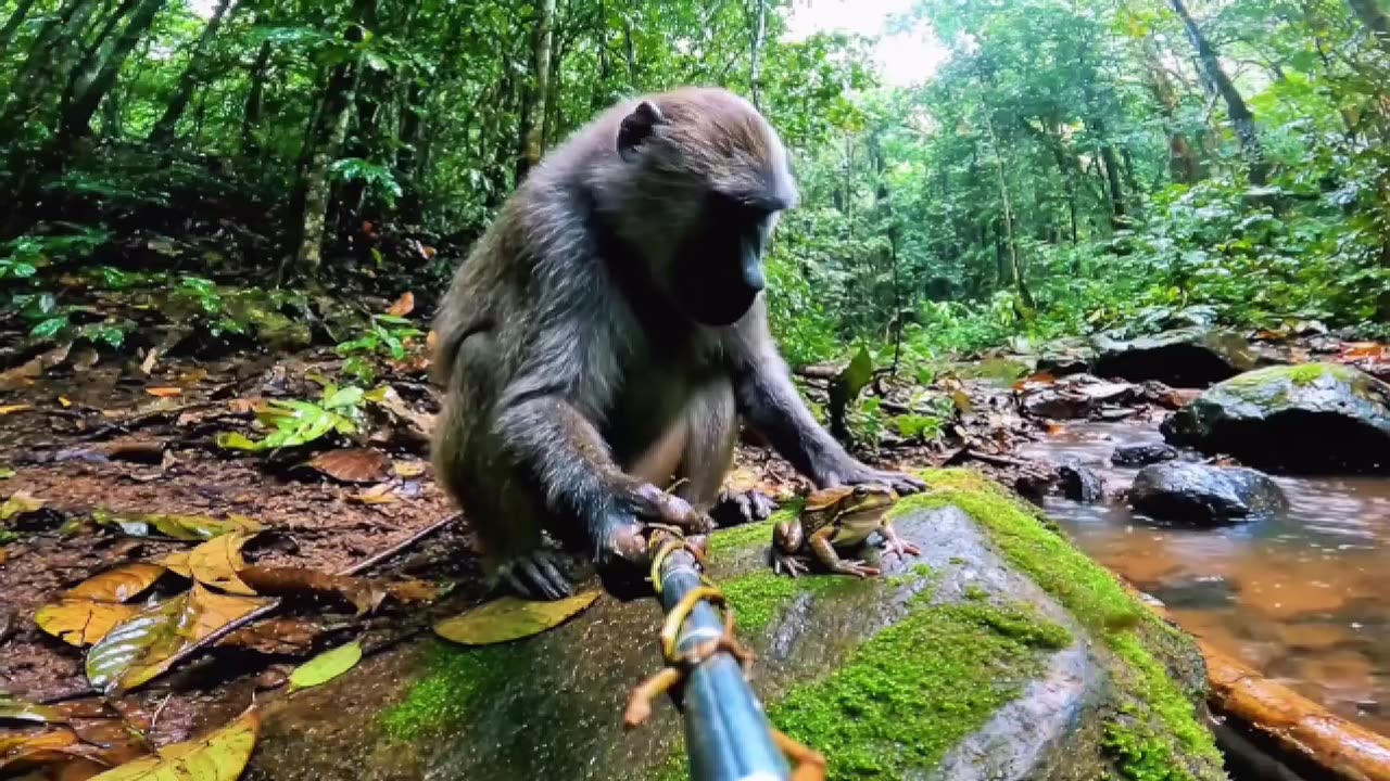 ai video