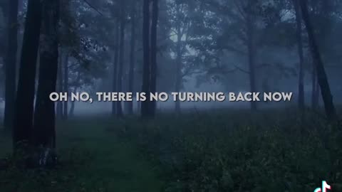 Disturbed