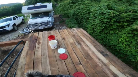 Flock it Farm: Cabin build update July 1 2025