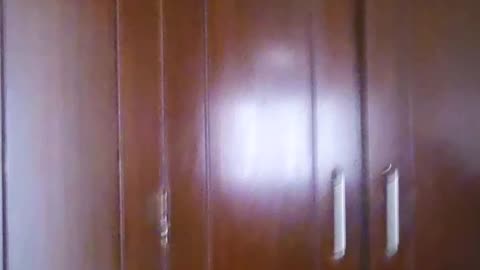 PID: 5203 3BHK ఫ్లాట్ అద్దె దువ్వాడ, వైజాగ్ 1460 చదరపు అడుగులు | Tolet 9492840132 VizagOneProperties
