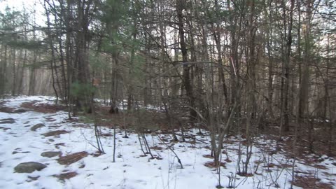 Why is the world so screwed up?