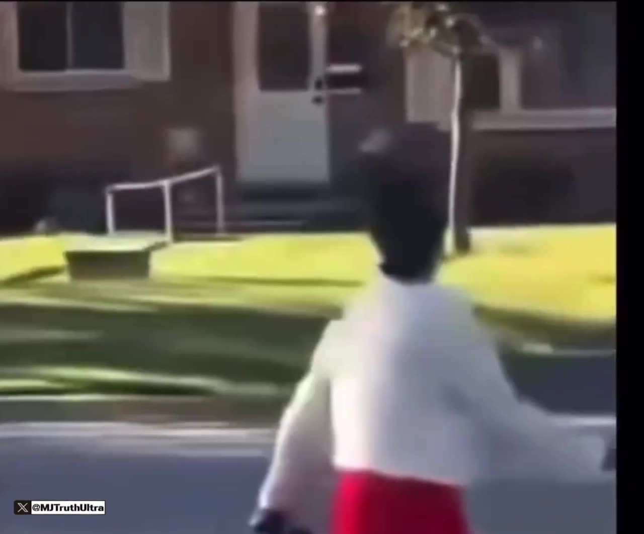 Illinois Democrat Senator Karina Villa is running around chasing ICE agents,