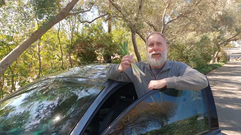 FIELD TRIP: Oak of the Golden Dream