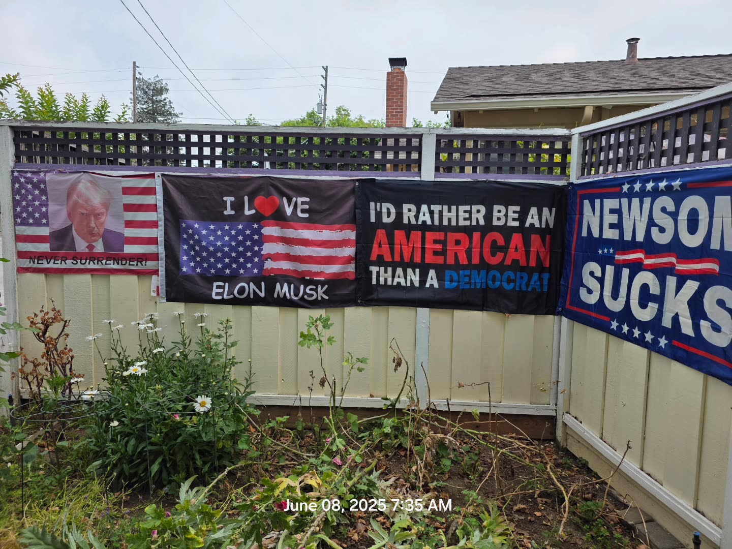 Silicon Valley Bicyclists 🚴🚴Hate Winning, Shout Traitor!😂🤣