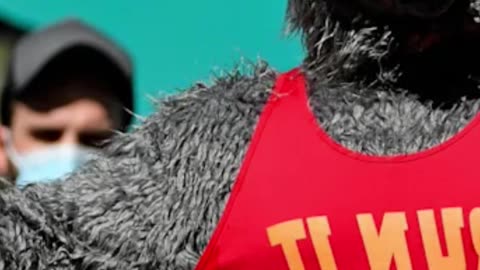 Kansas City Chiefs Fan Dressed as Wolf Steals Spotlight at Dolphins Game - WorldEye