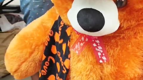 SARAVANAN STORES COIMBATORE 25_11_2022