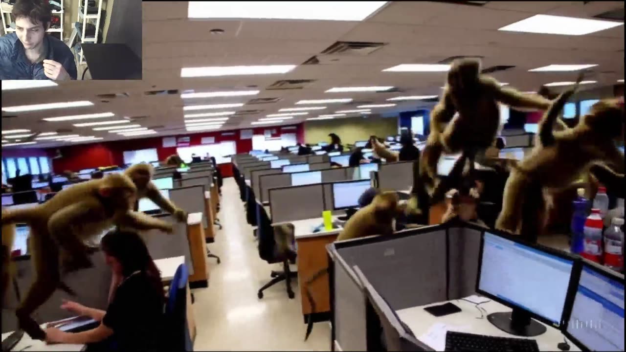 Over 8 Monkeys Roam Around A Call Center Fake Funny Parody Video With Live Commentary