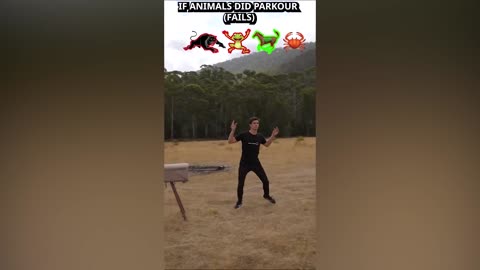 Funny Video 2025