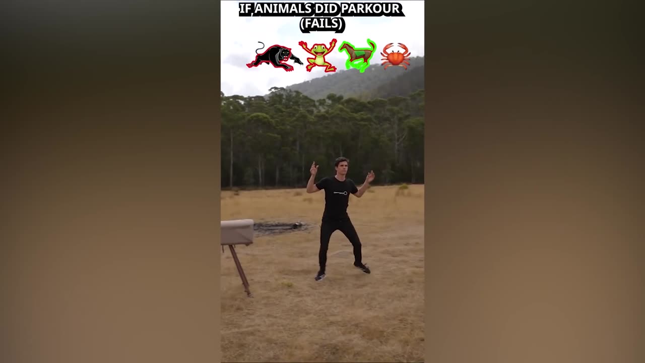 Funny Video 2025