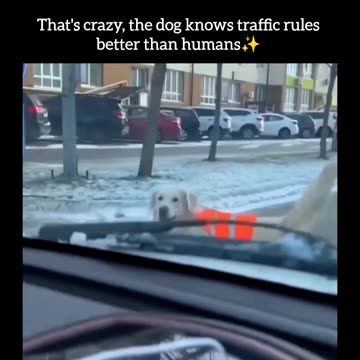 Smart Money Moves 💼🔥 | What They Don’t Teach You