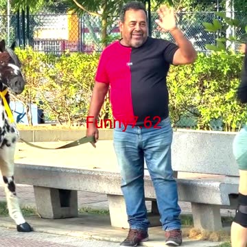 Lost Dog, Gained a Toy! #shorts #funnyshorts #prank