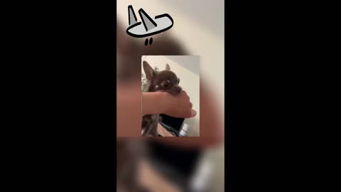 Mom Reacts_ You Won't Believe What Happened!