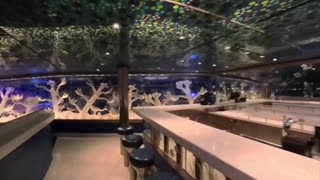 Coral Reef Lounge Tour | Margaritaville at Sea Islander Deck 1