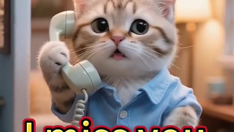 Kitty