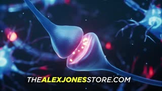INFOWARS LIVE - 6/10/25: The American Journal with Harrison Smith / The Alex Jones Show / The War Room With Owen Shroyer