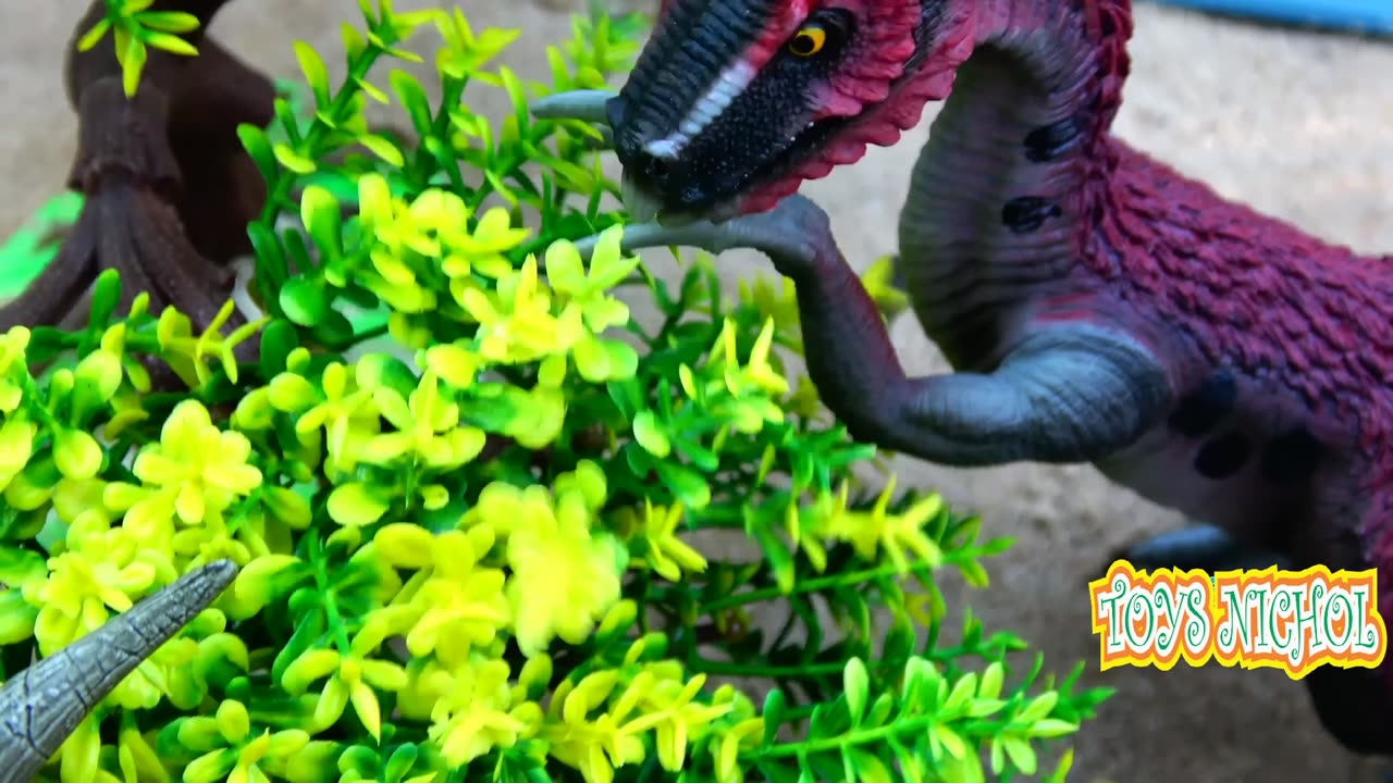 Red Head Dino Combs the Beach Sand Looking for Cow Tracks