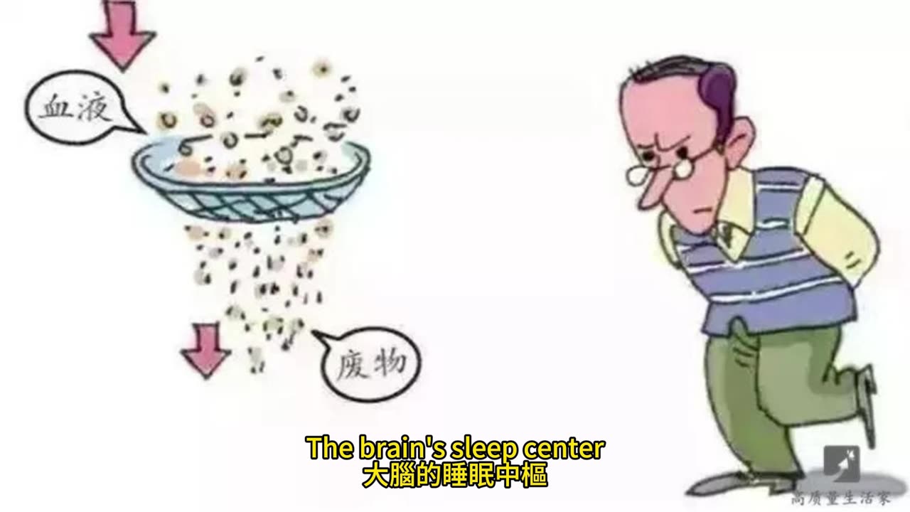 半夜一直起床尿尿？ 睡眠權威授解決方法