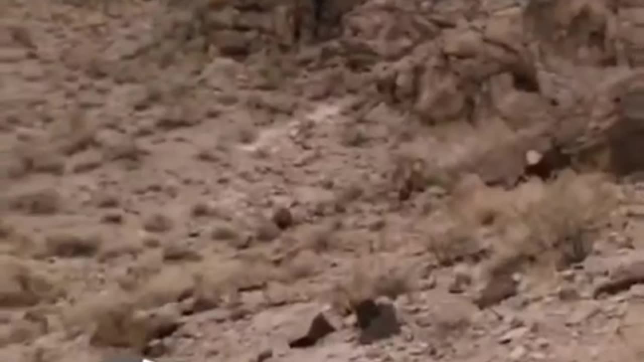 Pyramids in the USA - Hidden in Plain Sight