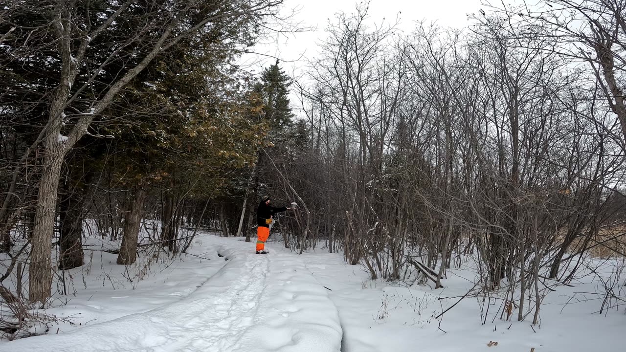 ❄️2025🎿03-01❄️Winter Season ⛄Bird🐓🐣 Feeding & Hiking Moodie Trails Part 2 in Ottawa 🍁 Canada ❄️⛷️⛄