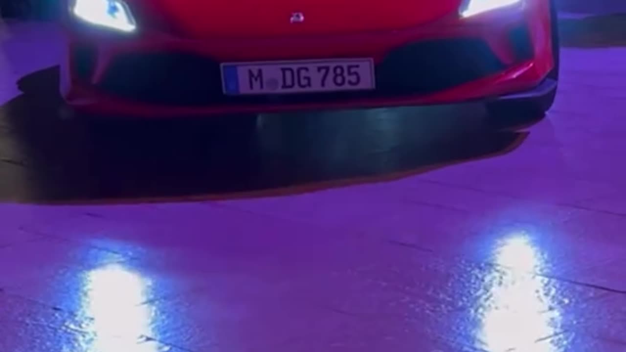 Evening vibes In Monaco with super models