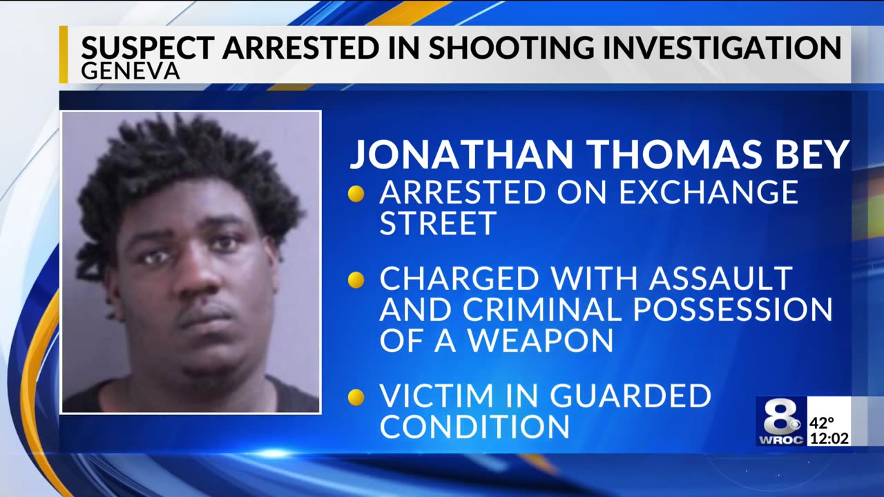 Arrest made in Geneva shooting, police search for 2nd black suspect