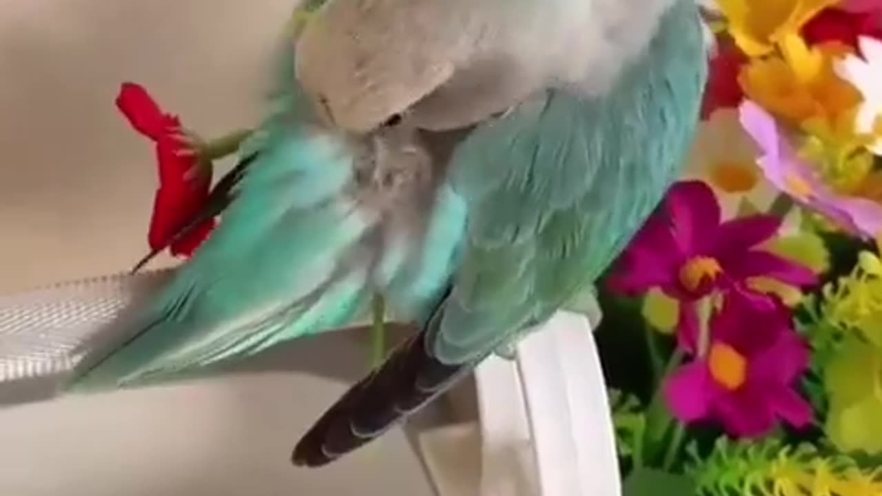 Must be mating season 😊