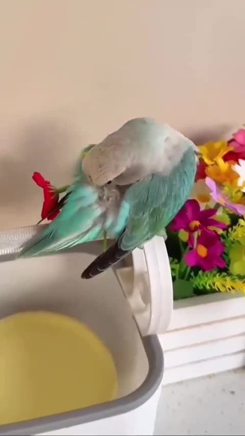 Must be mating season 😊