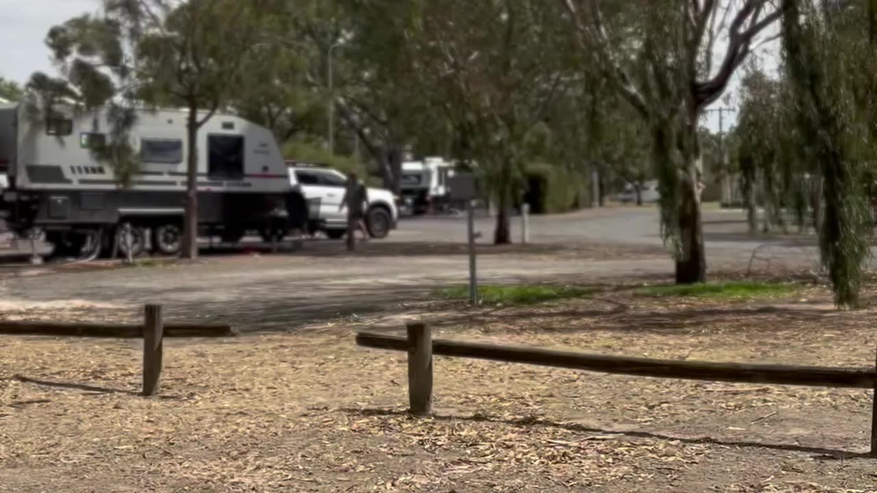 Wimmera River Vic Australia - 2
