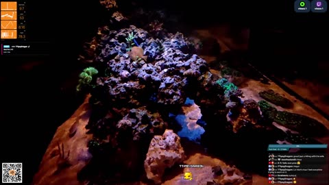 24/7 Real Live Reef Stream